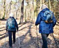 Mensen lopen in bos